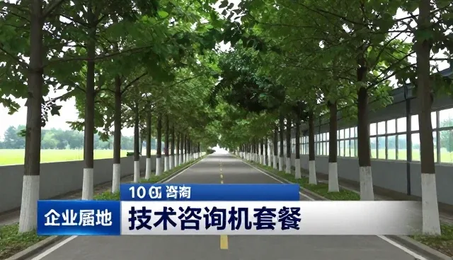技术转让中设计服务如何提升企业培训效果
